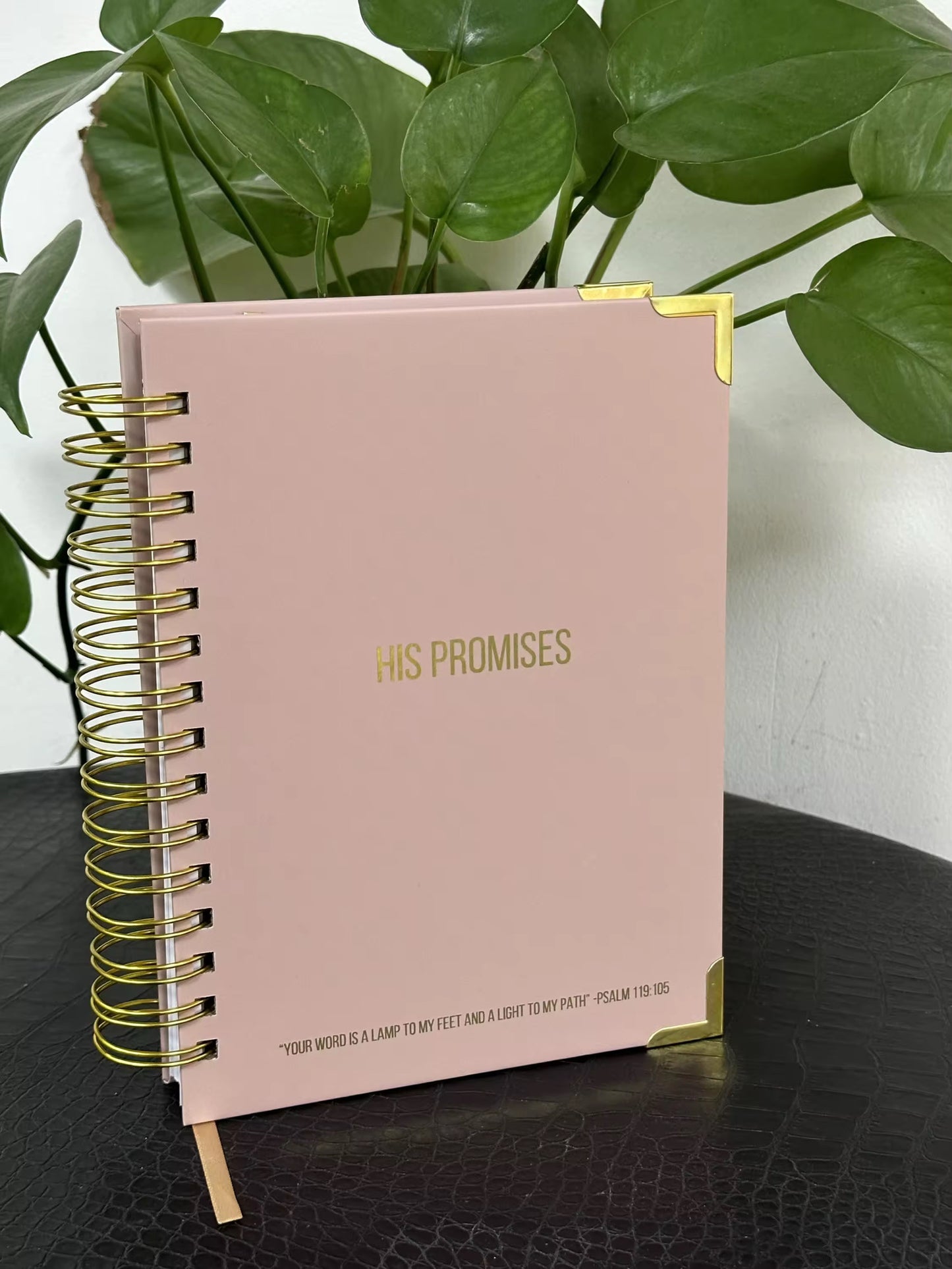 His Promises – Prayer Journal